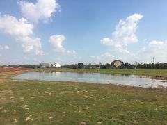 -贡湖湾湿地公园