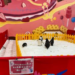 -第五极儿童乐园