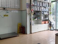 -瑞派·关忠动物医院·猫专科·犬专科(三环新城店)