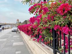 -珠江夜游西堤码头