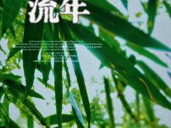 -望江楼公园