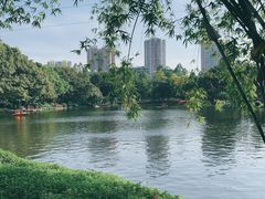 -晓港公园