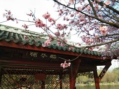 -北湖公园