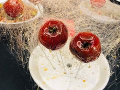 -荣公子创意菜