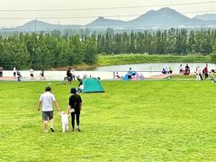 -君乐宝优致牧场