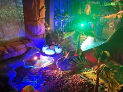 -恐龙探索乐园(磁器口店)