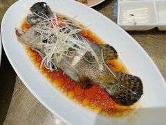 -悦泰环球美食自助(金茂旗舰店)