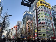 -秋叶原电器街