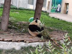 -西安秦岭野生动物园