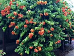 -文龙国际健身院