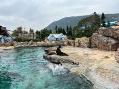 -珠海长隆海洋王国