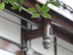 -见山书院