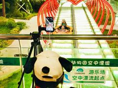 -大连森林动物园游乐场-售票处