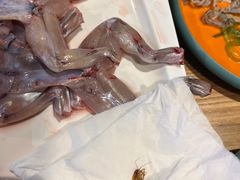 -铭记蛙小仙·活蛙畅享(CBD万达广场店)