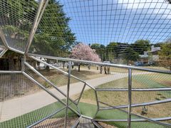 -金泽21世纪美术馆