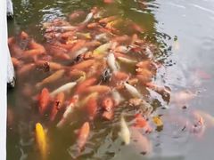 -上海方塔园