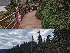 -普达措国家公园