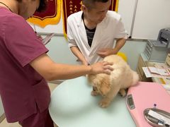 -宠福鑫康馨动物医院·骨科·眼科
