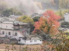 -塔川景区