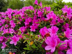 -白塘生态植物园