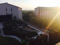 -上海崇明金茂凯悦酒店