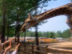 -大连森林动物园