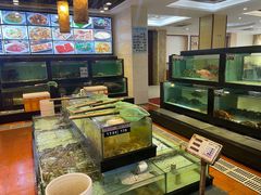 -越百海海鲜蒸锅(乐山店)