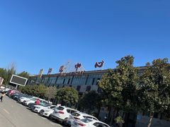 -中国西峡恐龙遗迹园