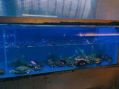 -白仁仔· 活烤海鲜 宵夜(豫园店)