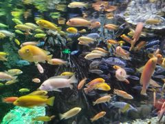 -太平洋海底世界