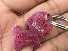 -北京赛佳动物医院