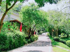 -火炉山森林公园