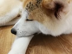 -YCHL Studios健身工作室(市二宫店)