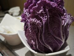 -海底捞火锅(金地广场生日主题店)