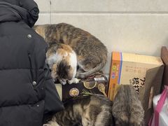 -本地老字号清叔烧鹅