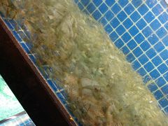 -徽三说·土徽菜·中国徽菜连锁品牌(一中店)