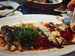 -院里寻菜·精致庭院菜(观沙岭店)