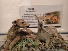 -大庆市博物馆