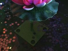 -青岛东方影都融创电影世界