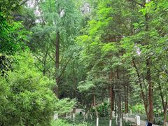 -成都市活水公园