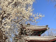 -颐和园