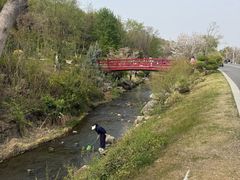 -羊山湖公园