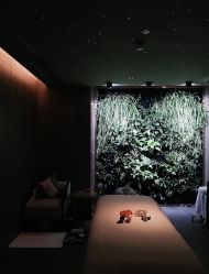 -VELEE·SPA高定疗愈会所