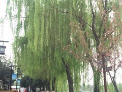 -西安汉城湖景区