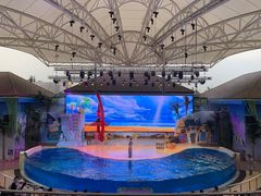 -三亚海昌梦幻海洋不夜城