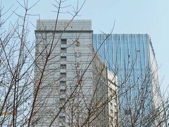 -成都泰合国际大饭店(春熙路太古里店)