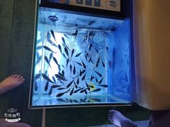 -汤连得温泉馆(宝山店)