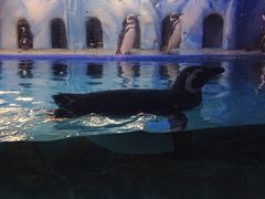 -常州海昌海洋探索馆