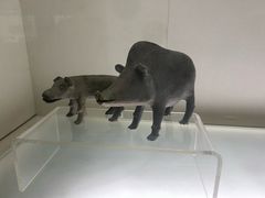 -旅顺博物馆