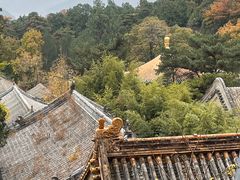-潭柘寺景区